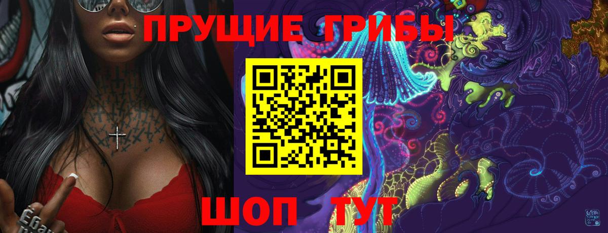 Галлюциногенные грибы Psilocybine cubensis Великие Луки